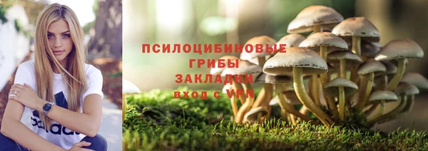 гашик Аркадак