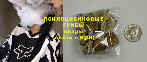 гашик Аркадак
