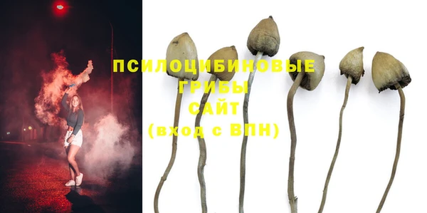 дурь Арсеньев