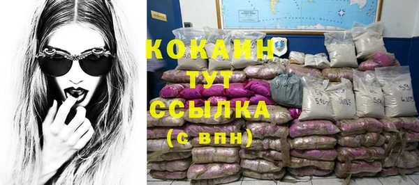 гашик Аркадак