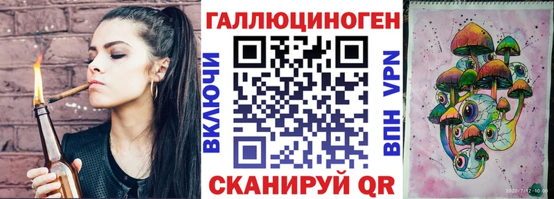 Галлюциногенные грибы Psilocybe Гулькевичи